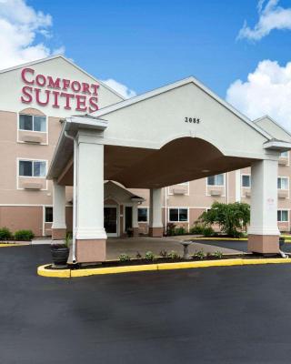 Comfort Suites Rochester Henrietta University Area