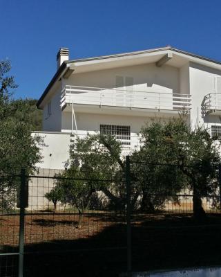 B&B casaMagliana