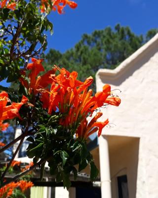 Chalets del Bosque