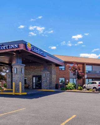 Comfort Inn St. Catharines Niagara