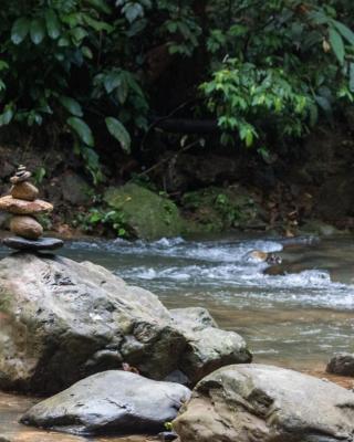Rain Forest Guest House and Jungle Trekking