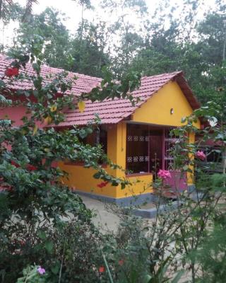 dreams home estate stay 2