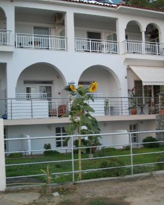 Paschalia sea view studios