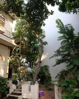 Moon house tropical garden - Valentine