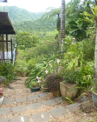 Daintree Holiday Homes - The Folly