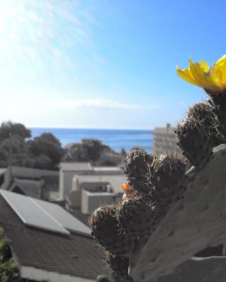 Due Passi Dal Mare