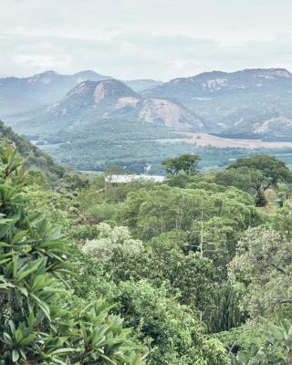 Leopard Tree Retreat