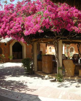 Apani Dhani Eco-Lodge