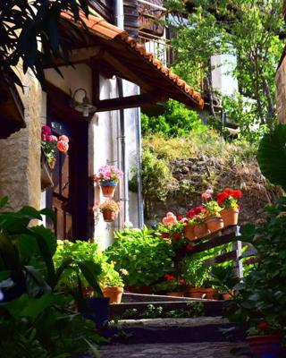 Casa Rural Amparo