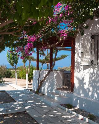 Felicia's sun-side house