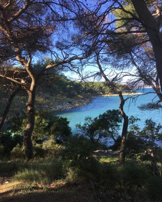 Single rooms in the heart of Split