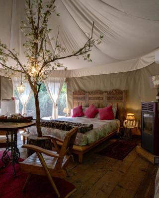 Glamping Canonici di San Marco
