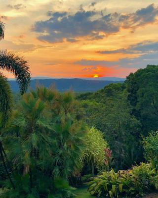 Daintree Manor B&B