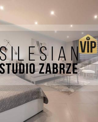 Studio Silesian Vip