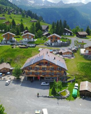 Chemihüttli Apartments Axalp