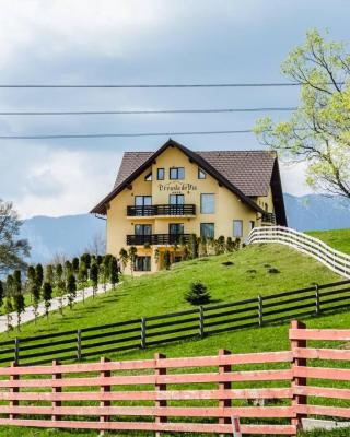 Pension Creasta de Vis