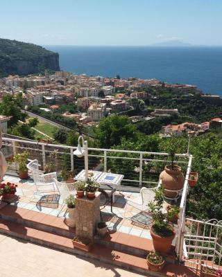 Garden on the Sea