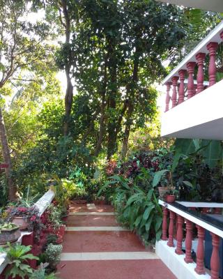 Casa De Olga