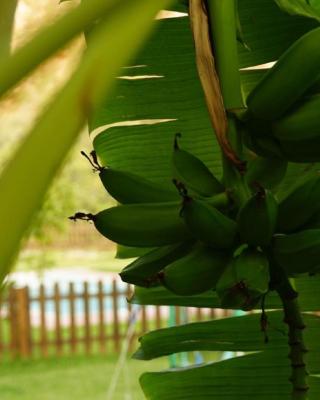 Villa Tropical
