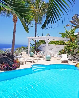 LA BOHEME, résidence de 5 appartements avec piscine, vue océan, Petite Ile