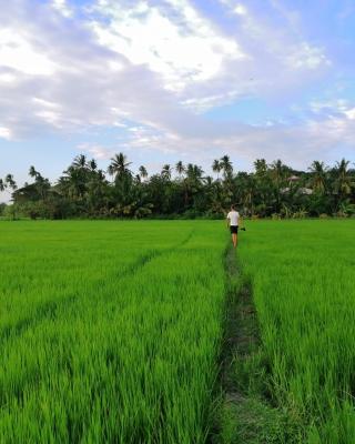 Viveka Inn Guest and Yala Safari