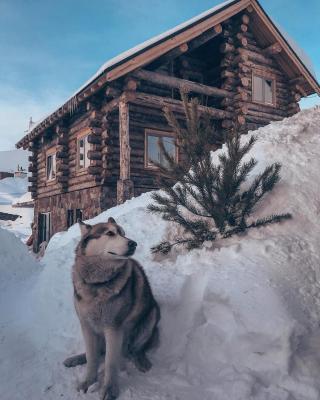 Mountain Cricket Chalets and Apartments Gudauri