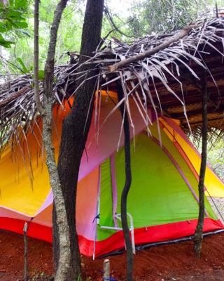 Sigiri Jungle Camping