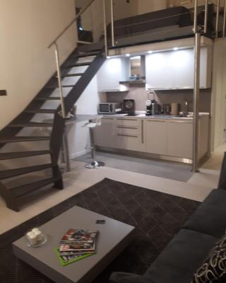 Luxory Loft