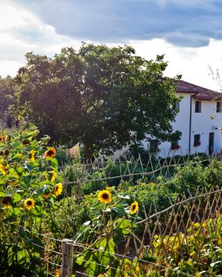 Apartment with privat garden
