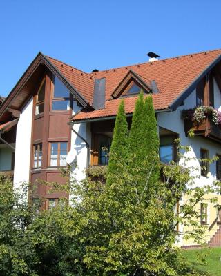 Appartement Haus Drobollach
