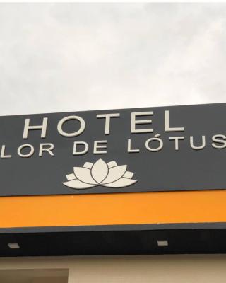 Hotel Flor de Lotus