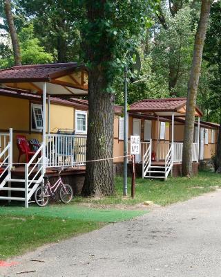 Camping Fuentes Blancas