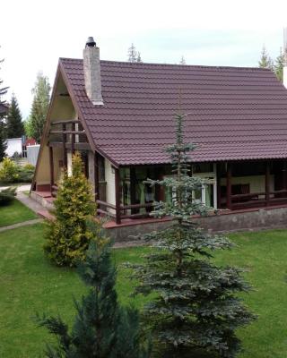 Cabane- Vila Crinul si Teodor Poiana Brasov