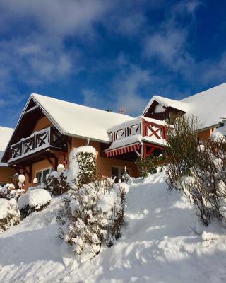 Apartments Lipno Serafin