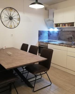 Apartma Stela in Terme Čatež