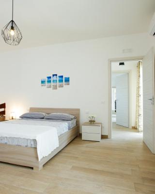 CASA 801