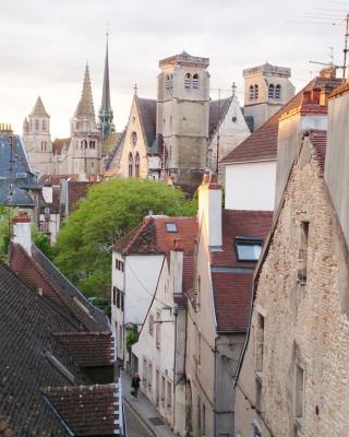 Apartment Bonnard - best view in Dijon
