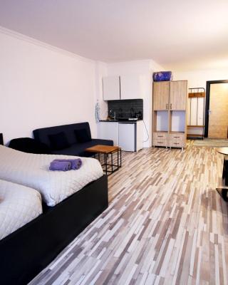 Apartment N506 Gudauri Loft