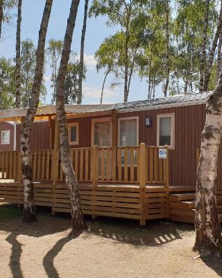 Mobil Homes XXL2 4 chambres - Camping Le Ranch des Volcans