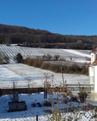 Aux vignes