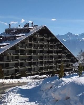 Appt 6-8 pers Torgon Portes du Soleil