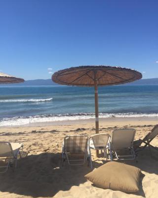 Paralia Ofrinio - Beach Apartments