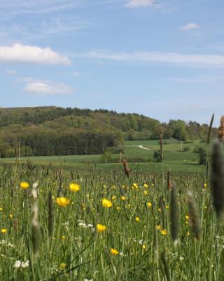 FeWo Litzendorf