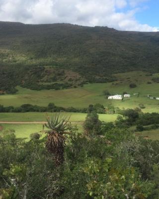 Kromrivier Farm Stays & B&B Near Addo Elephant Park