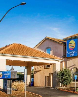 Comfort Inn Watsonville