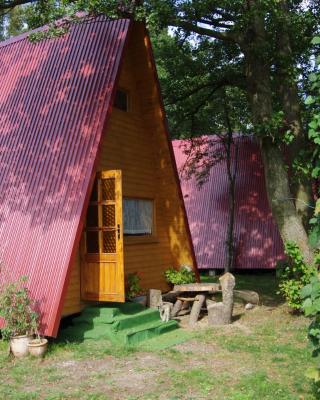 Sunrise Camp Łazy