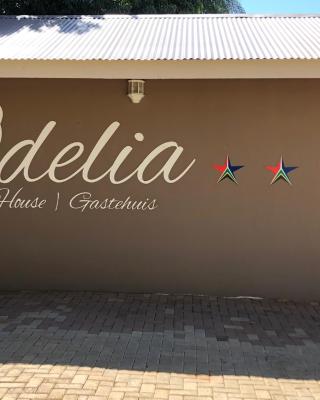 Odelia Guest House