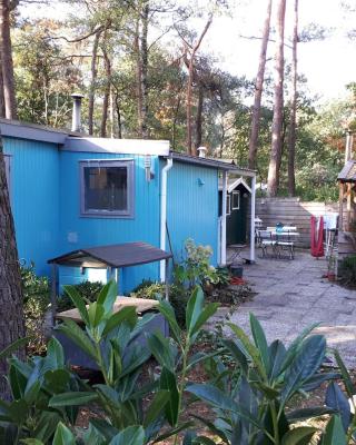 Boshuis Turquoise / smaakvol genieten op de Veluwe