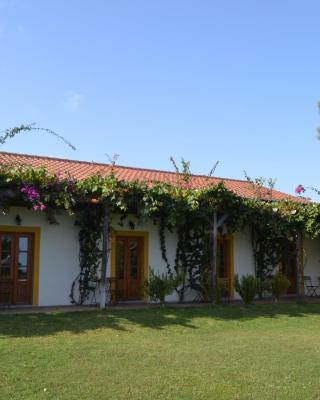 Casa de Campo Vale do Asno