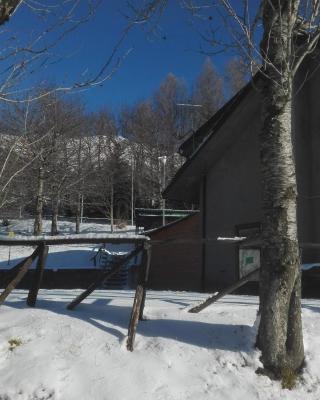 B&B Bucaneve